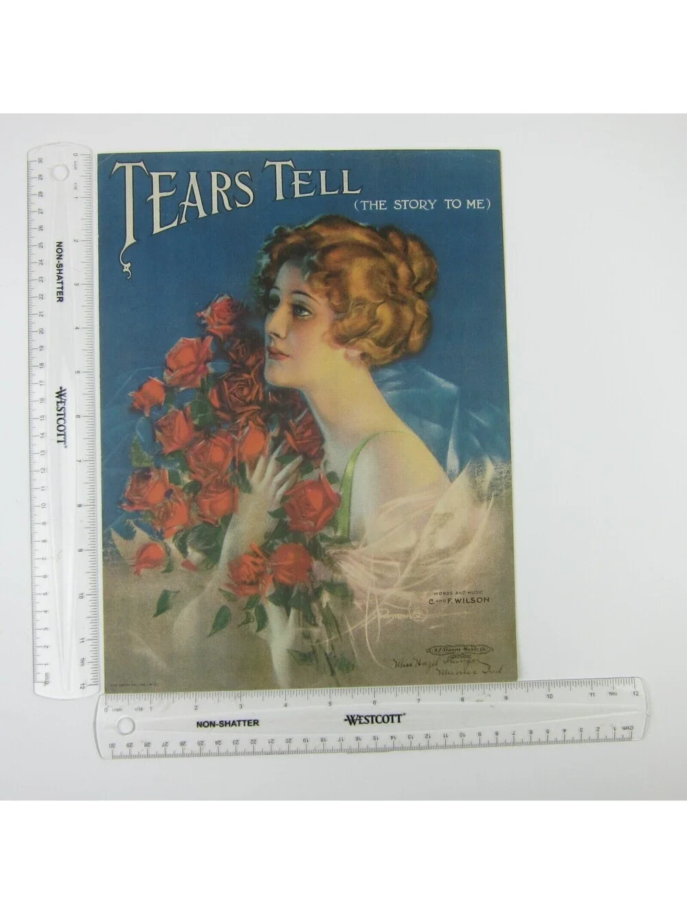 Tears Tell The Story To Me Sheet Music C & F Wilson Rolf Armstrong Antique 1919